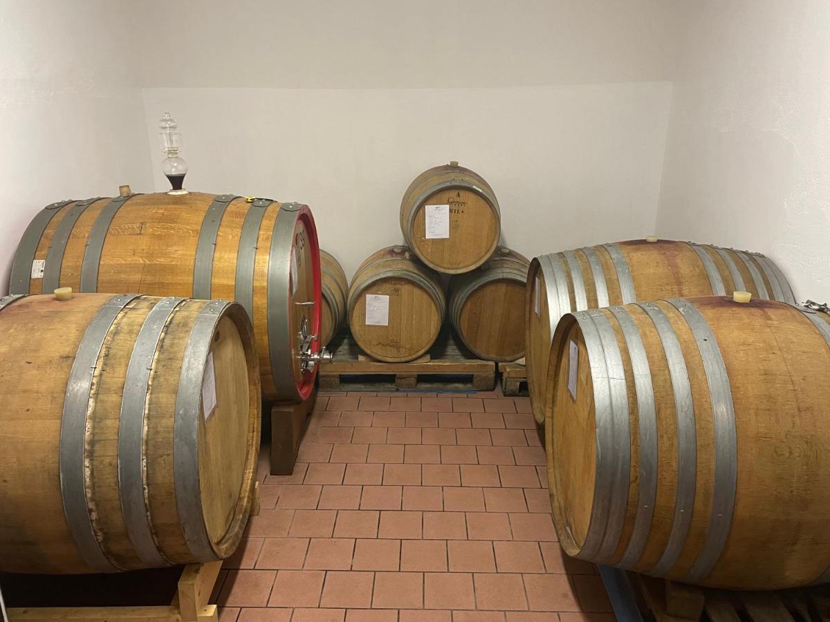 Agriturismo Finestre Di Langa Trezzo Tinella Buitenkant foto