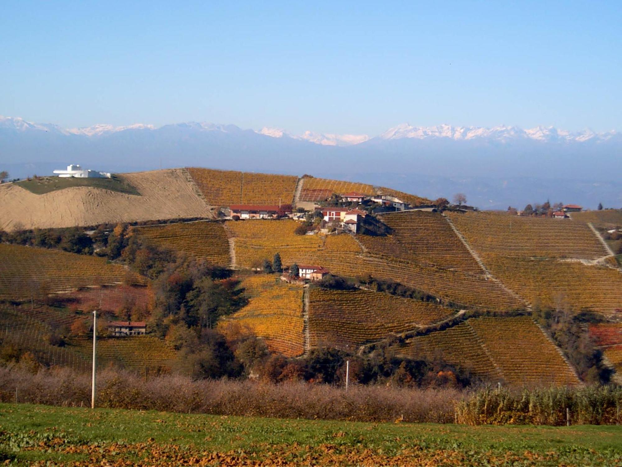 Agriturismo Finestre Di Langa Trezzo Tinella Buitenkant foto